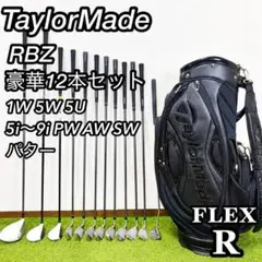テーラーメイド R11 メンズ ゴルフセット フルセット 初心者 入門 S 右