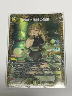 デュエルマスターズ 百威と族絆の決断 パーフェクトフリースタイル 金
