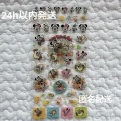 【希少】ディズニー キラキラ 未使用 ミッキー ミニー　平成レトロ　シール交換