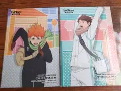 ハイキュー！！ アニメイトフェア特典ポストカード 日向翔陽 及川徹