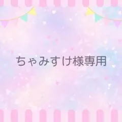 ちゃみすけ様 リクエスト 2点 まとめ商品