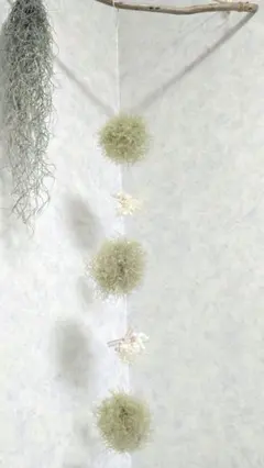 スモークツリー ボール フライングリース きみどり - メルカリ