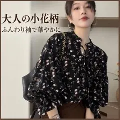 花柄ブラウス リボン ボリューム袖 2XL 大きいサイズ 体型カバー 黒系 秋冬