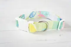 中～大型犬★カラフル★首輪