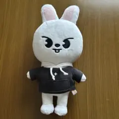 K-POP ぬいぐるみ・マスコット 2026年最新】K-POP ぬいぐるみ・マスコットの人気アイテム - メルカリ