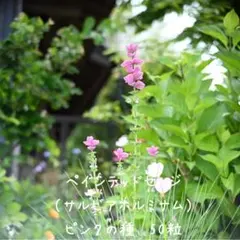 日香＊アロマワックスサシェ・リース＊様 リクエスト 2点 まとめ商品