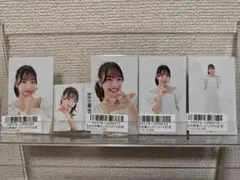 Item thumbnail for item a6a929ff-9511-4100-a2c4-7ba6ae8600d5