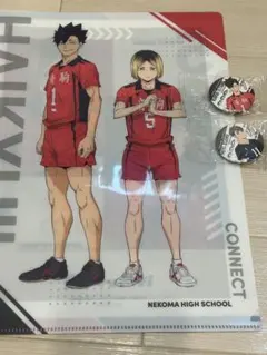 くら寿司　ハイキュー　缶バッジ　クリアファイル