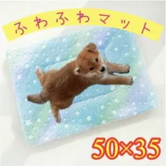 Item thumbnail for item a31c7f0c-cd53-4515-b469-3009dfc4e7ca