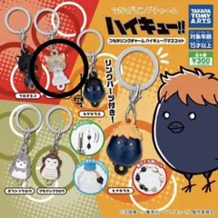 ハイキュー！めじるしアクセサリー ケンマネコ