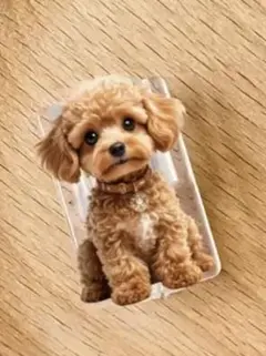 ワン太郎様 リクエスト 4点 まとめ商品