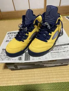 NIKE AIR JORDAN 5 "MICHIGAN"