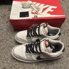 Nike Dunk Low SE ロッタリー 26.5cm DR9654-001