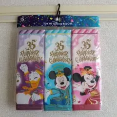 東京ディズニーリゾート 35周年タオルセット