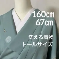 k31⭐️藍染雲に蝶紬⭐️豪華絢爛￼トールサイズ身丈172cm正絹小紋袷広