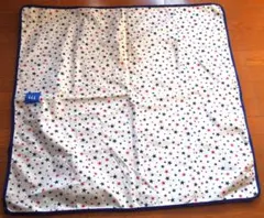 Item thumbnail for item 7eb73d13-2427-4e7e-8a5f-3a74fb23d4b0