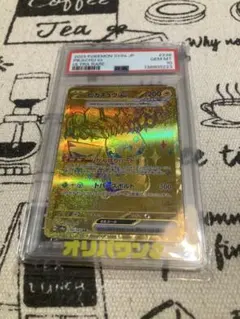 2026年最新】ピカチュウ ur psa10 bwの人気アイテム - メルカリ