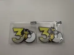 中国限定】ポケモン 30周年マグネット エレキッド エレブー エレキブル 