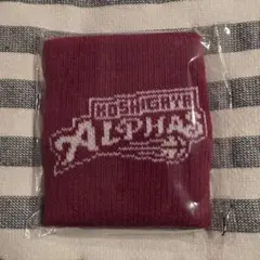 越谷アルファーズ　リストバンド
