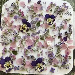 No,784 特小小花ミックス　ドライフラワー花材