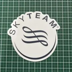 SKYTEAM ロゴステッカー