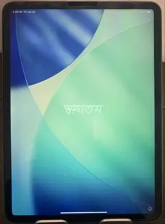 【ジャンク】iPad Pro 11インチ 第2世代 128GB Wi-Fi