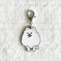 白　ポメラニアン　スピッツ　サモエド　犬　チャーム