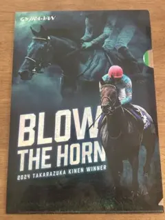 ブローザホーン 宝塚記念優勝馬クリアファイル ブローザホーン 宝塚記念優勝馬クリアファイル - メルカリ