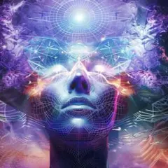 REVERIE 200-2