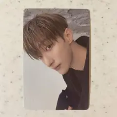 セブチ D×S Serenade ドギョム　封入　トレカ