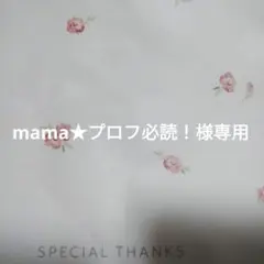 あみぐるみちゃん　mama★プロフ必読！様専用