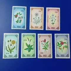 8911 外国切手 モンゴル 1985年 薬用植物 花 7V