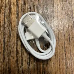 30‑pin Dock Connector