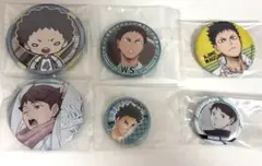 ハイキュー　及川徹　岩泉一　合同練習会　幼少期　缶バッジ