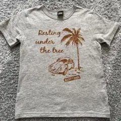 子ども　Tシャツ　140センチ