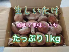 天日干し 乾燥しいたけ 秋田県産 軸なし300g 送料込 ^_^ - メルカリ