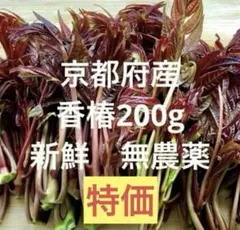香椿 無農薬 200g チャンチン ちゃんちん 香椿芽 - メルカリ