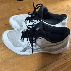 Item thumbnail for item 6ea26945-1fa0-4d0d-858b-a8440289e8c8