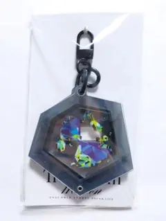 あんスタ スタライ 9th 特典 トゥインクル アクリルフレーム