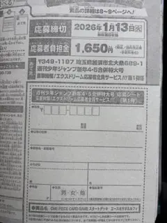 エース&サボ&ルフィ10セット応募用 週刊少年ジャンプ 【新年4•5合併特大号】