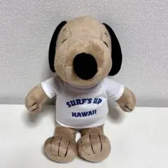SURF'S UP 日焼けスヌーピー ハワイ - メルカリ