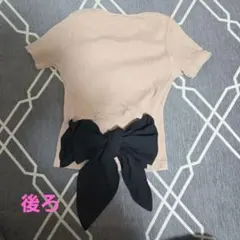 Item thumbnail for item aa1e3014-5380-4b48-8cd2-68f5a5b3e014