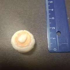 ハンドメイド　パン　ミニチュア　マグネット　⑥