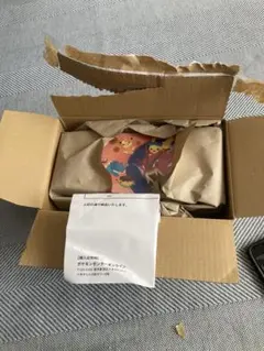 ポケモンカード ヒロシマ スペシャルBOX ポケモンセンター