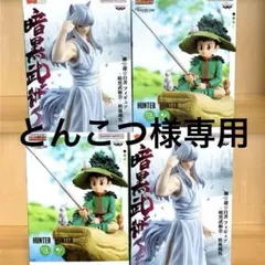 とんこつ様 リクエスト 4点　まとめ商品　ゴン　妖狐蔵馬