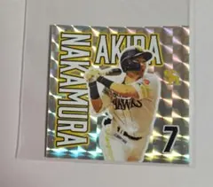 はいじ様 リクエスト 3点 まとめ商品