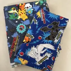 ポケモンプリント生地 2種類　はぎれ