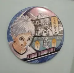 ハイキュー!! 星海光来　ナンジャタウン　メタリック缶バッジ　VS 小さな巨人 ハイキュー 鴎台 星海光来 メタリック缶バッジ - メルカリ
