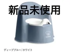 Item thumbnail for item 8e2b8ba8-3a0e-42e6-9eeb-d97e211d140b