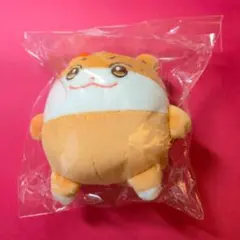 ateez aniteez ホンジュン ぬいぐるみ チュンラミ 新品未開封 2025年最新】ATEEZ ホンジュン ぬいぐるみの人気アイテム - メルカリ